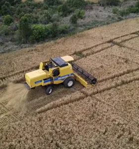 El Niño atrasa plantio de soja e colheita de trigo no Paraná