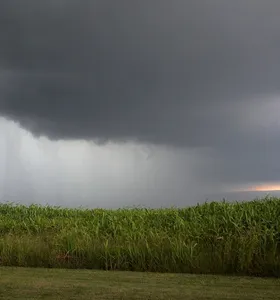 El Niño causa R$ 860 milhões em prejuízos no Paraná