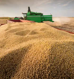 El Niño pode reduzir produção brasileira de soja em quase 10%