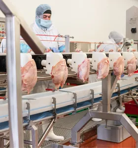 Exportações de frango do Paraná crescem 20% entre janeiro e julho