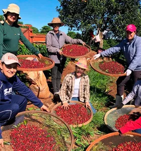 Feira da Agroindústria Familiar no Paraná valoriza protagonismo feminino