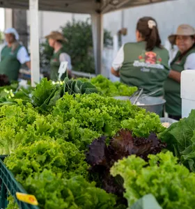 Ponta Grossa abre chamamento para agricultores e entidades no PAA