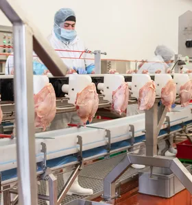 Paraná amplia liderança nacional na produção de carne de frango