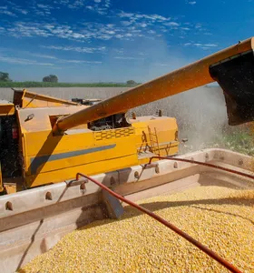 Paraná projeta safra de grãos de 44,17 milhões de toneladas em 2026/27