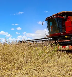 Paraná sobe para o 4º lugar nacional em Valor de Produção Agrícola