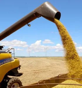 Produção agrícola nos Campos Gerais cresce 15% e atinge R$ 5,74 bilhões