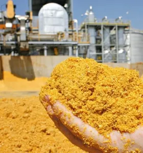 Produção de DDG no país pode superar 15 milhões de toneladas até 2030