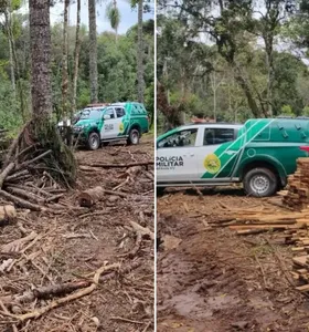 Propriedade rural no Paraná é multada em R$ 70 mil por crime ambiental
