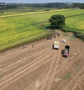 TCU determina revisão de atestado para liberação de crédito rural