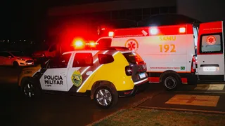 Motorista deixa local após colisão que atingiu carros estacionados em PG