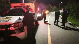 Casal segue cachorros em área de mata e encontra jovem morto a tiros