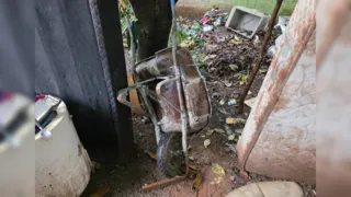 Homem é preso após agredir companheira e abandoná-la em um saco de cal