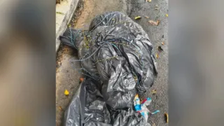 Polícia Civil prende 3 suspeitos por corpos encontrados dentro de sacos