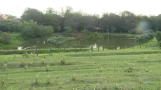 Mãe joga três filhos em represa e bebê morre afogada em Presidente Prudente (SP)