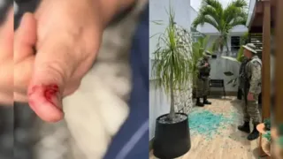 Macaco-prego invade condomínio, ingere álcool e remédios e ataca moradores na Bahia