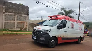 Criança morre após ser atacada por pit bull no quintal de casa em Apucarana