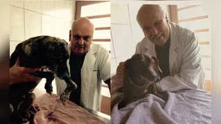 Veterinário conhecido por forte atuação na proteção animal morre em Curitiba