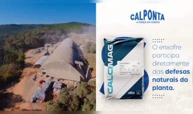 Calcimag aposta em nutrição eficiente para potencializar a produtividade no campo
