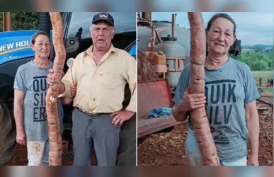 A descoberta aconteceu enquanto Lídia preparava o terreno para plantar batata-doce