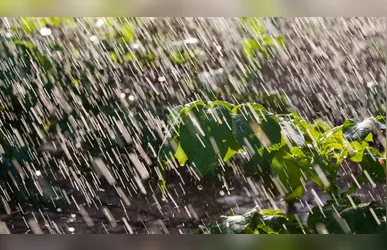 Massa de ar frio e excesso de chuva nos Campos Gerais exigem atenção dos produtores com lavouras e operações no campo
