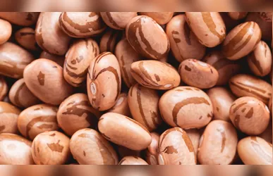 Oferta de feijão deve aumentar no mercado brasileiro com a entrada da terceira safra
