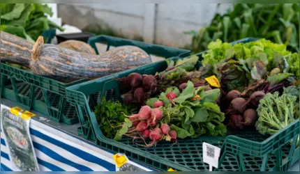 Projeto é voltado a segurança alimentar no município