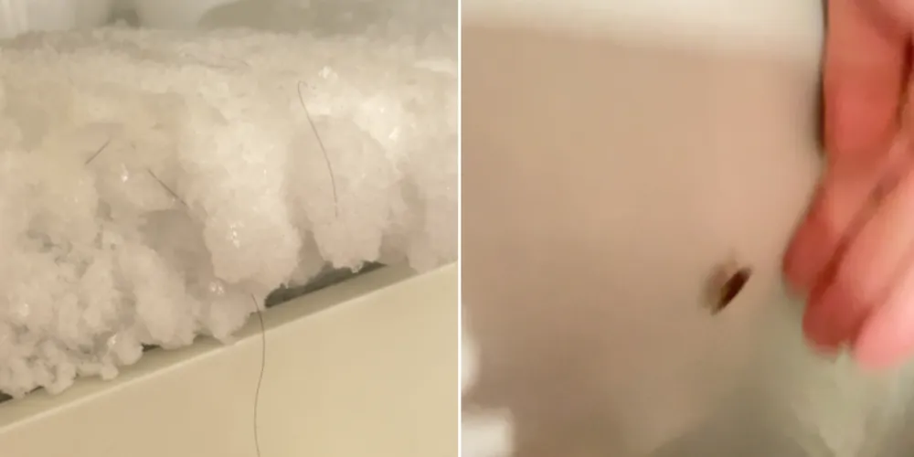 A medida foi adotada após uma vistoria que identificou diversas irregularidades sanitárias