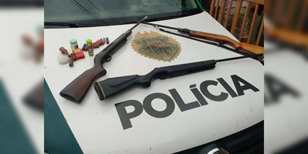 Imagem ilustrativa da imagem Polícia apreende pássaros e armas após denúncias