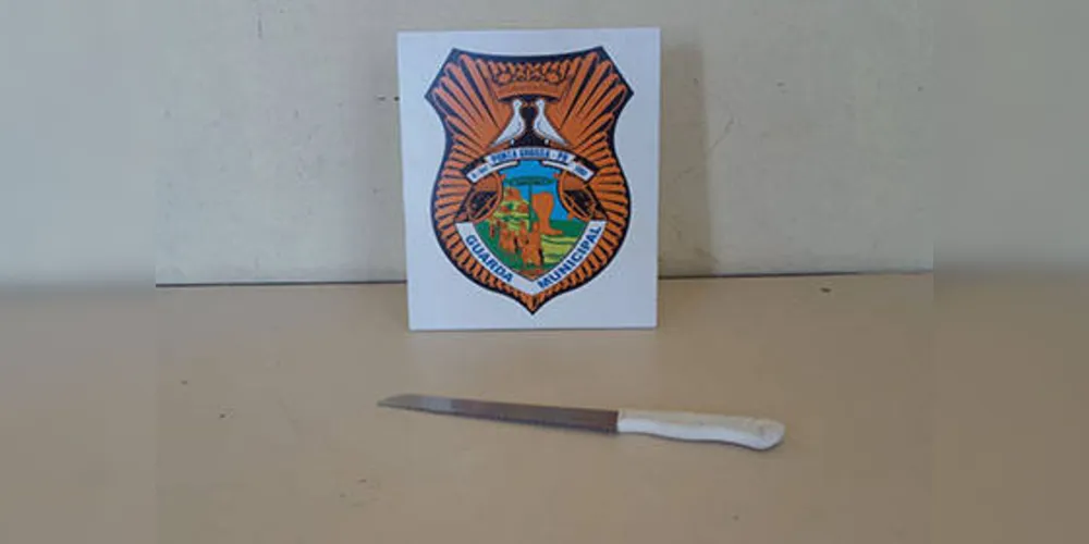 Imagem ilustrativa da imagem Suspeito de assalto é agredido no centro de PG