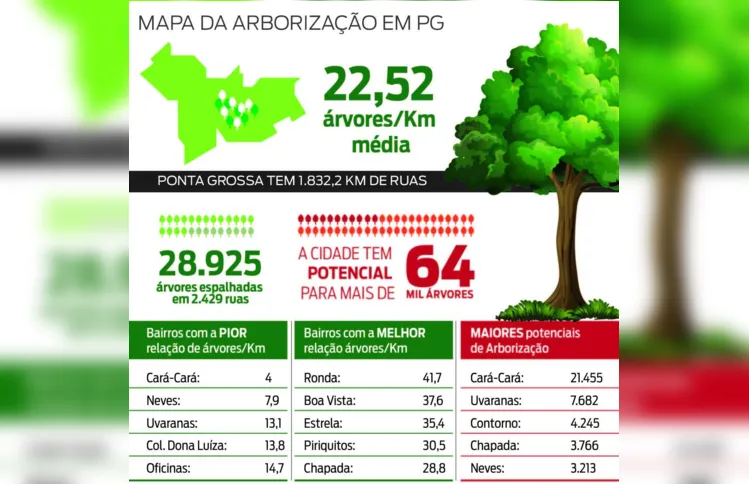 Imagem ilustrativa da imagem Estudo mostra potencial de arborização em bairros de PG