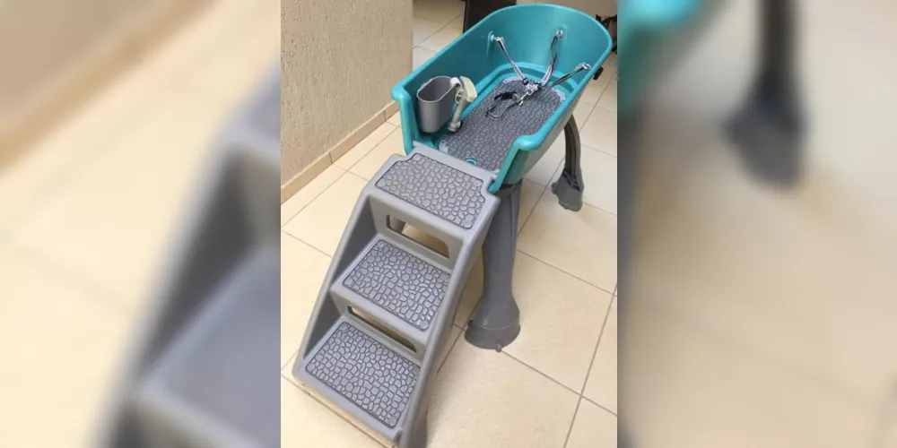 Imagem ilustrativa da imagem Grupo de resgate de animais de Ponta Grossa pede doações