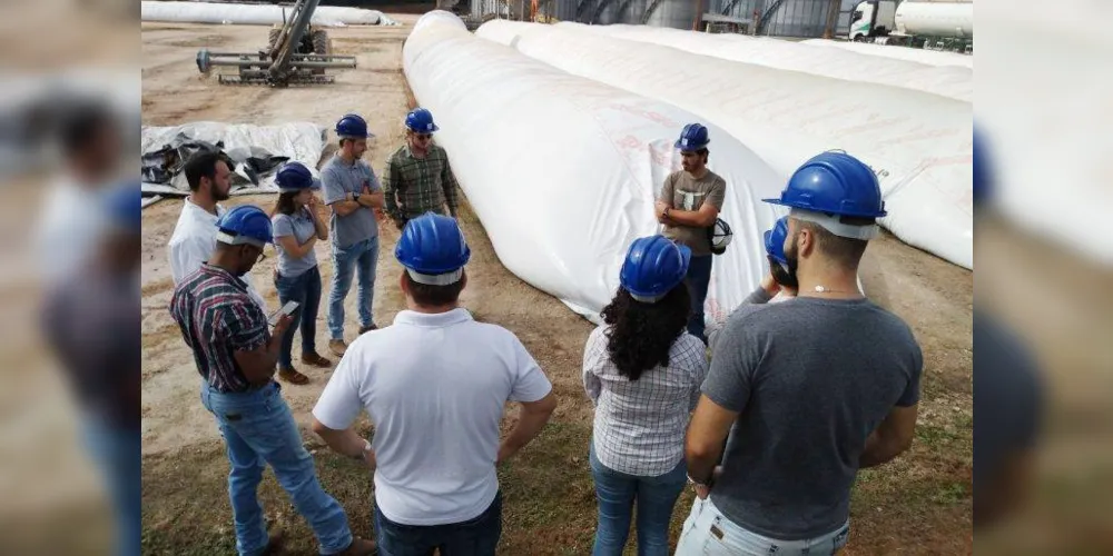 Imagem ilustrativa da imagem Agronomia da UEPG está entre os melhores do país pelo Enade