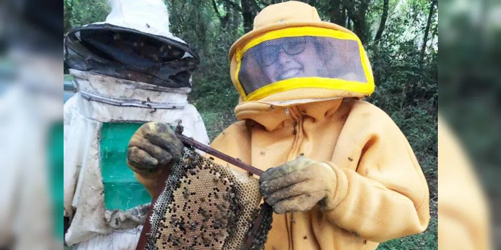 Imagem ilustrativa da imagem Agronomia da UEPG está entre os melhores do país pelo Enade