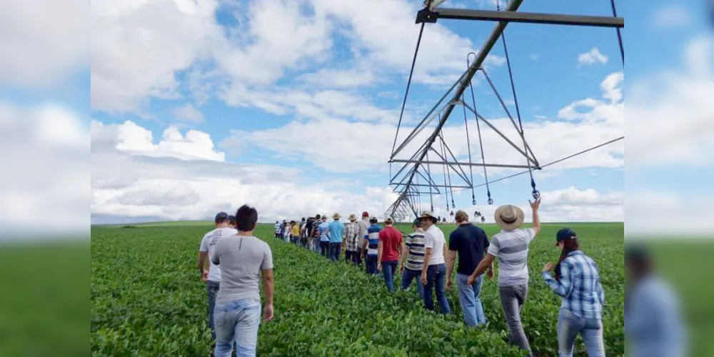 Imagem ilustrativa da imagem Agronomia da UEPG está entre os melhores do país pelo Enade