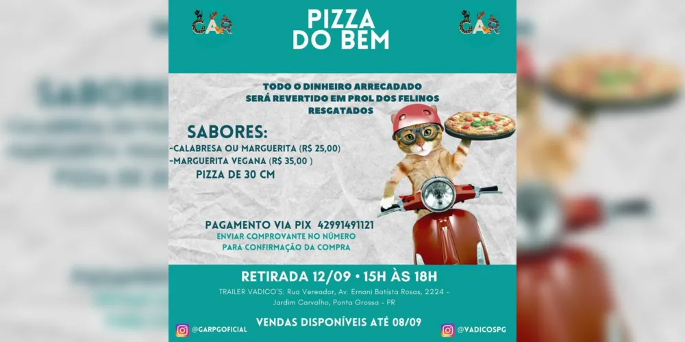 Imagem ilustrativa da imagem Abrigo de gatos organiza evento “Pizza do Bem”, em PG