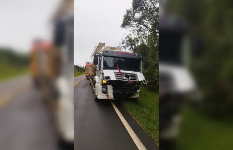 Motorista do caminhão não ficou ferido