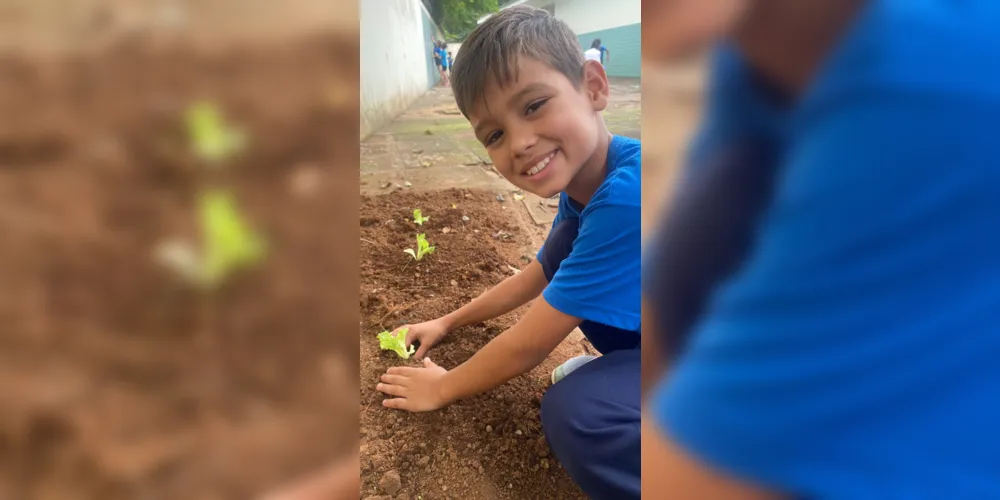 Os alunos participarão ativamente da atividade, dividindo o espaço da horta e organizando o plantio das mudas