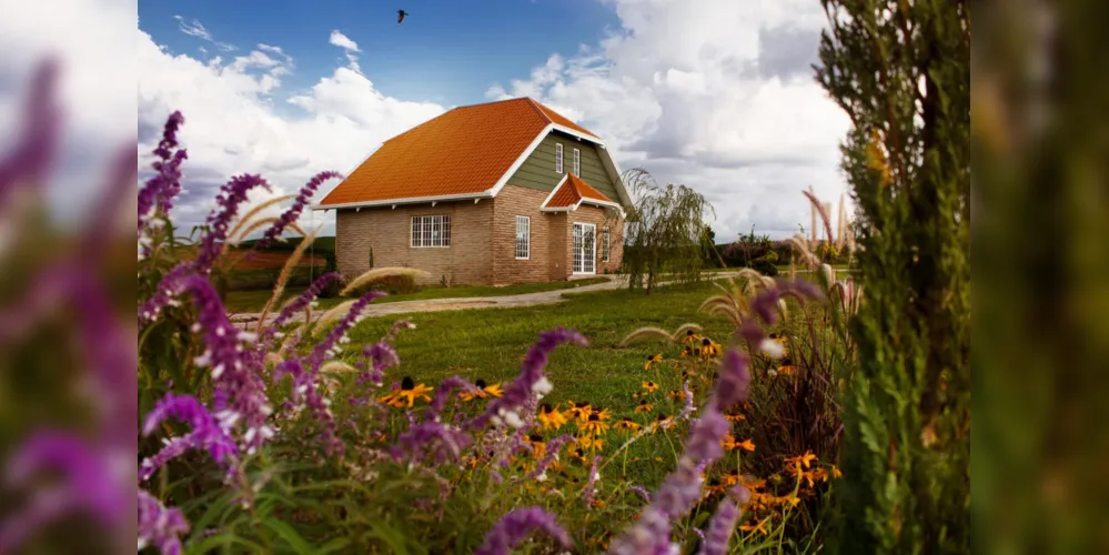 Imagem ilustrativa da imagem Rota da Lavanda vai potencializar o turismo rural no Paraná