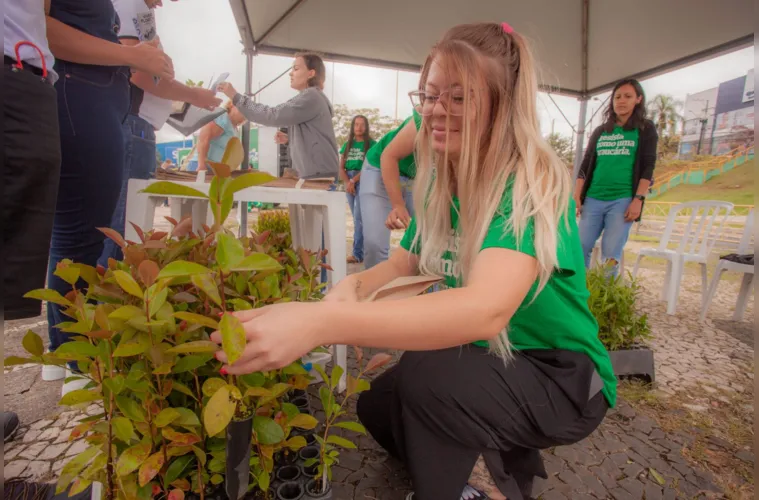 Foram 600 mudas de seis espécies de plantas para o evento, com 100 mudas de cada planta