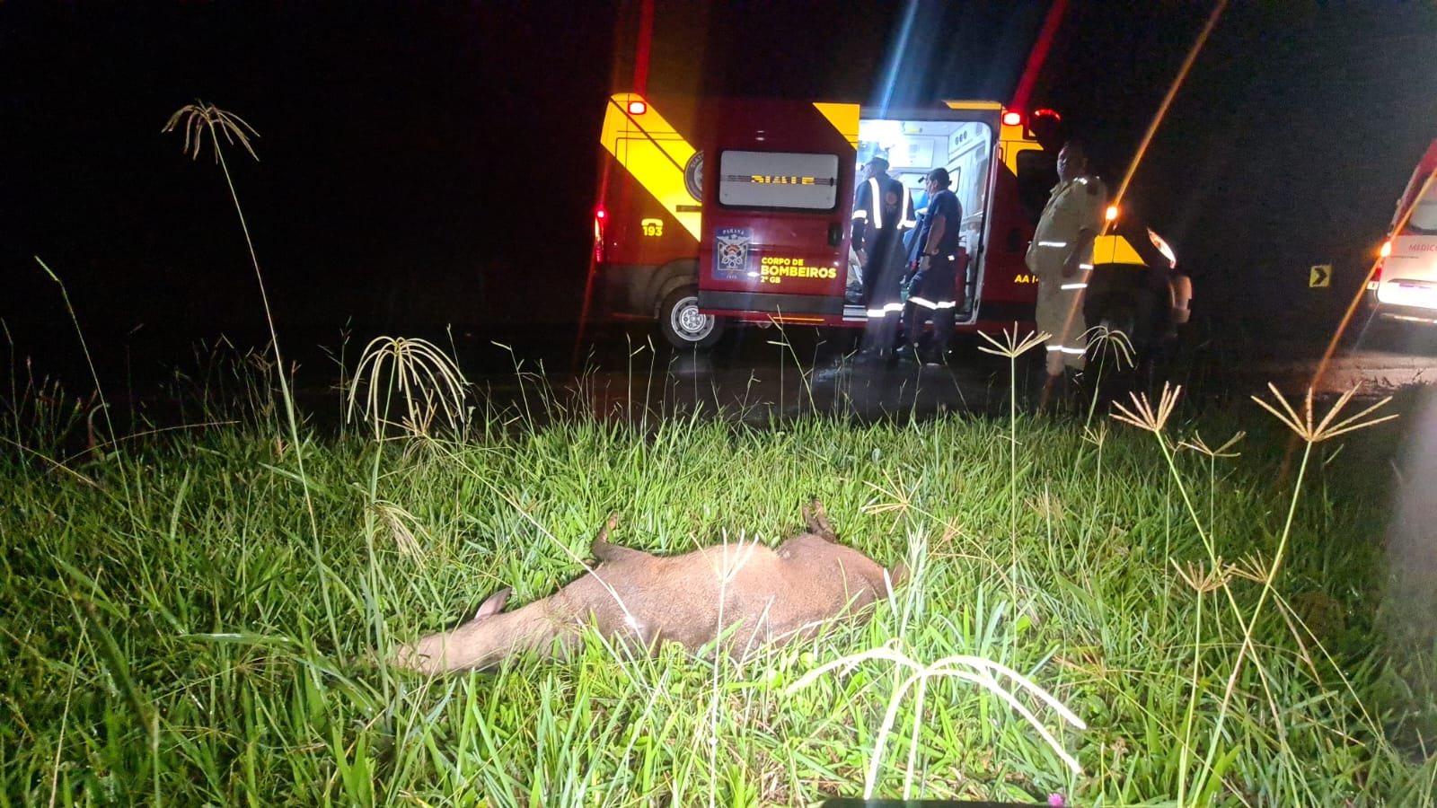 O acidente aconteceu entre Ponta Grossa e Carambeí