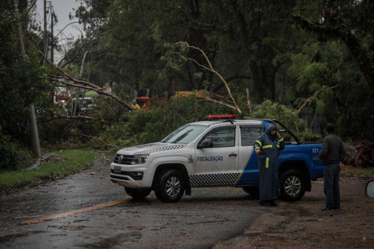 A capital registra um acumulado de 82 milímetros (mm) de chuva nas últimas 24 horas, conforme dados do Centro Nacional de Monitoramento e Alertas de Desastres Naturais