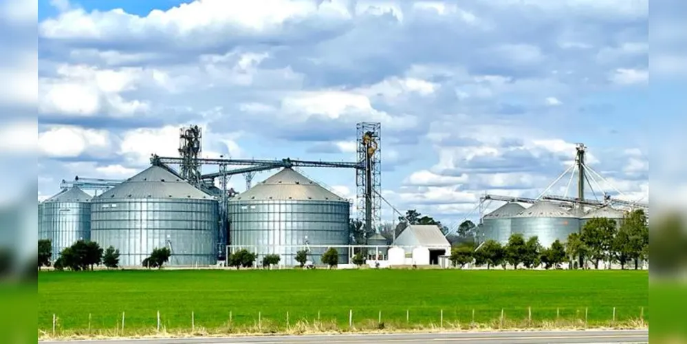 O percentual do aumento no setor Agropecuário rendeu 8,7%, enquanto o primeiro lugar ficou para Consumo, com 46,5%