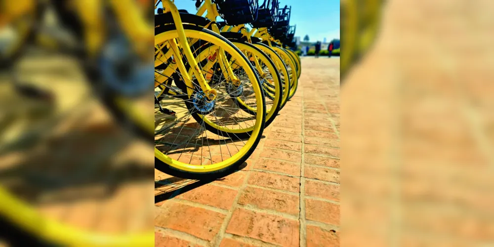 Bicicletas no Lago de Olarias, em Ponta Grossa