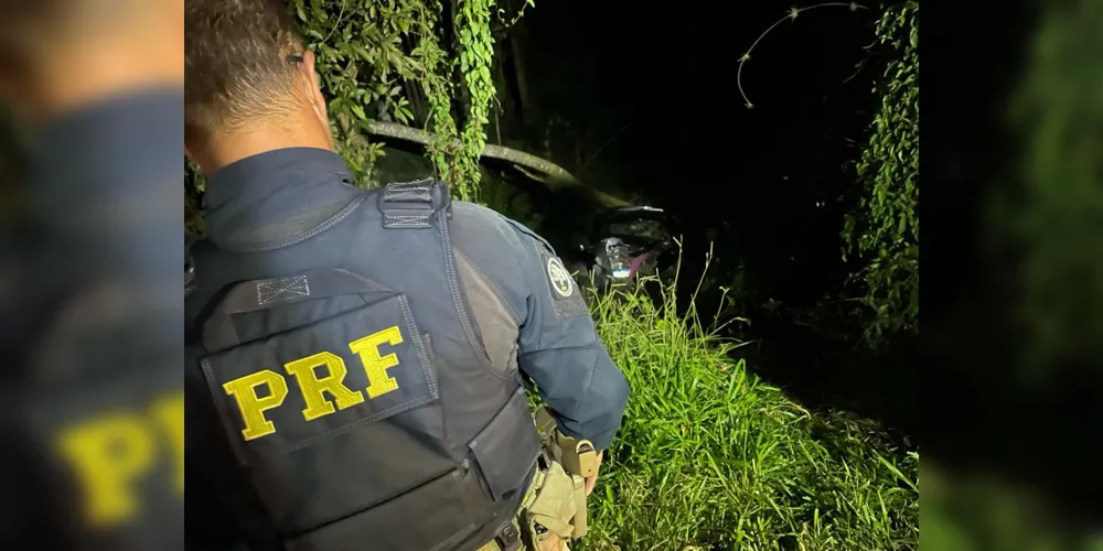 Veículo saiu da pista e colidiu contra uma árvore