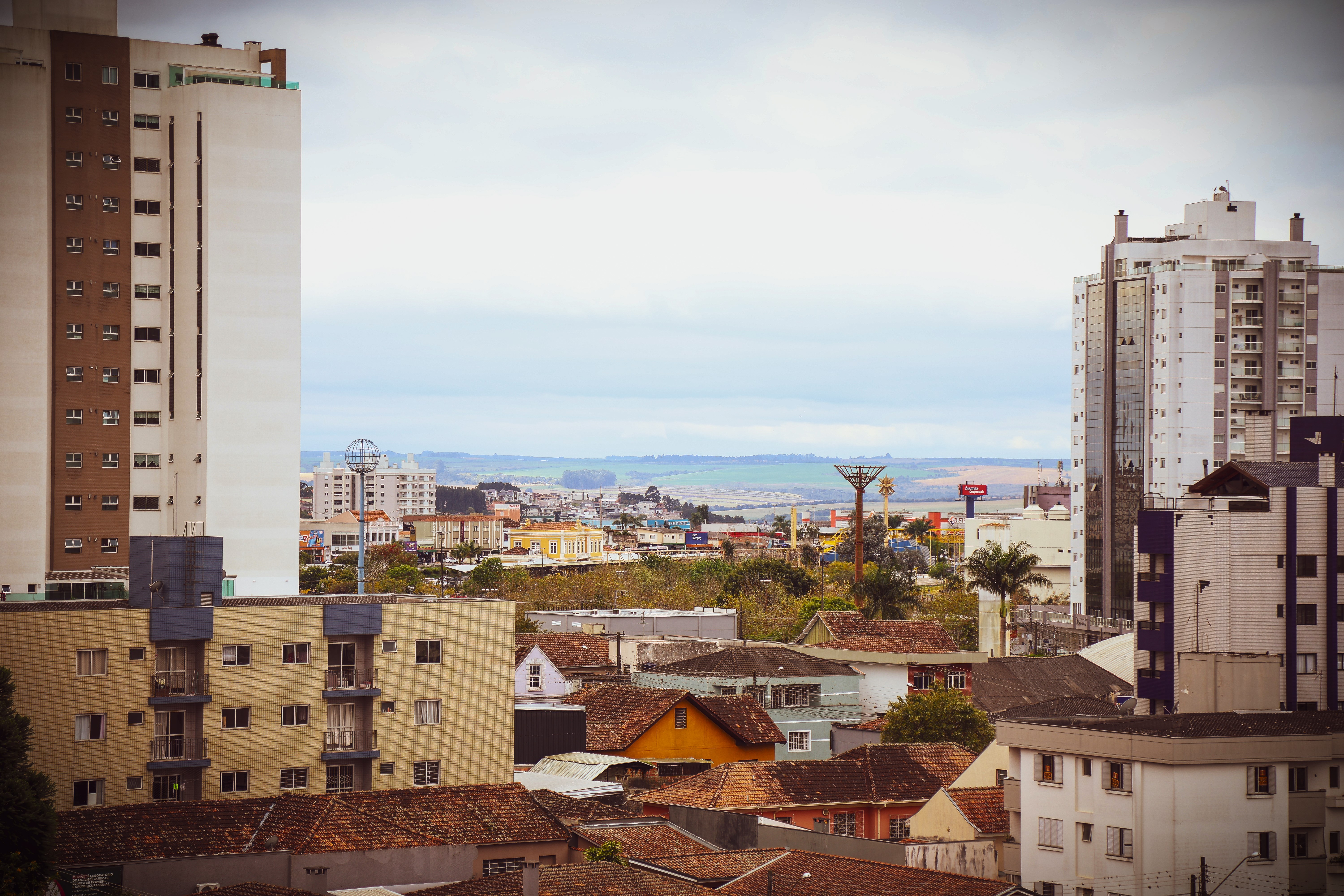 Imagem mostra parte do Parque Ambiental de Ponta Grossa