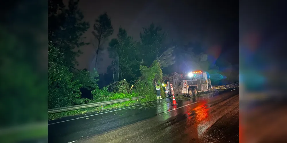 Uma queda de árvore interditou parcialmente a BR-277, no km 127, na serra de São Luiz do Purunã