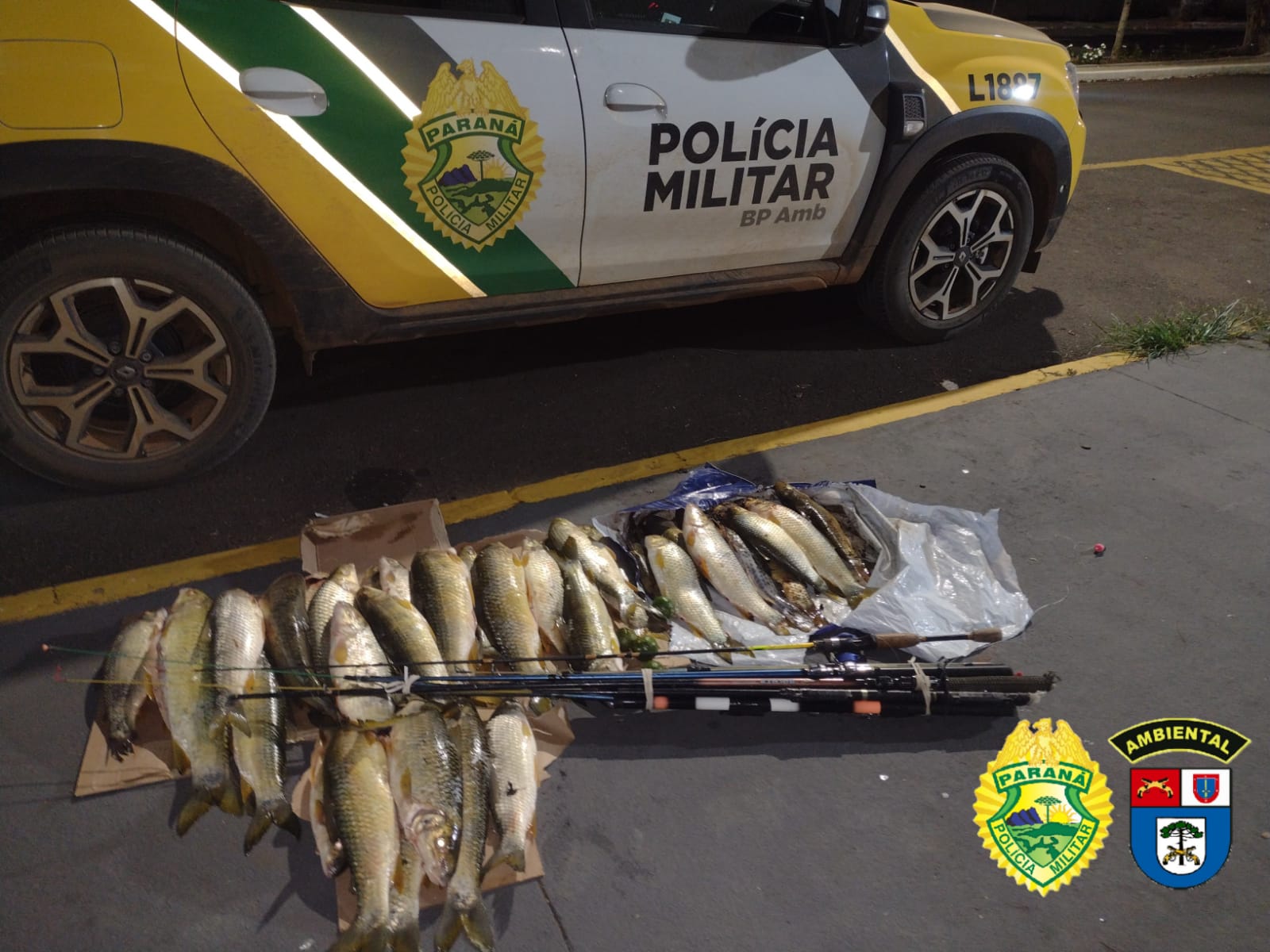 Imagem ilustrativa da imagem Polícia Ambiental apreende materiais de pesca predatória no PR