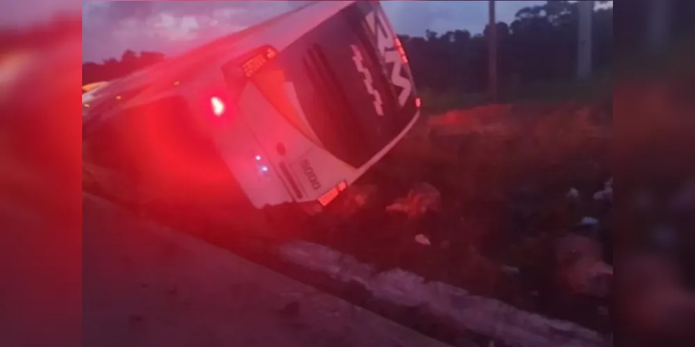 Imagem ilustrativa da imagem Oito pessoas morrem após ônibus de turismo tombar na BR-101