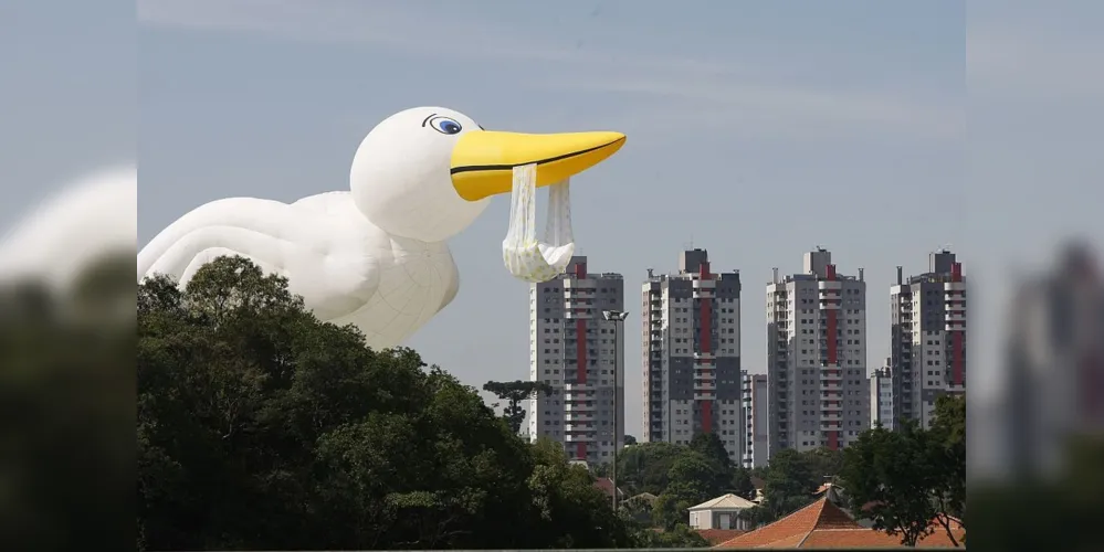 Balão de cegonha tem aproximadamente 55 metros de comprimento