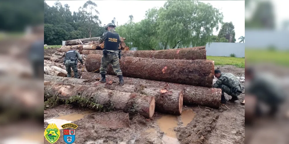 A equipe constatou o depósito irregular de 124 metros cúbicos de madeira de lei (pinheiro e imbuia)